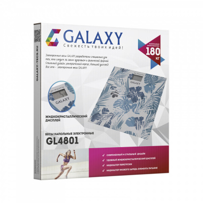 Galaxy Весы электронные бытовые GL4801_2